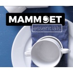 mammoet_servies